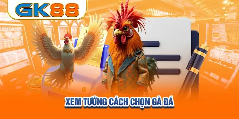 xem-tuong-cach-chon-ga-da